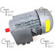 Электродвигатель асинхронный VOLT VM 132S-8/4 S1 IMV19/IM3631 для ABAT (120000061374)